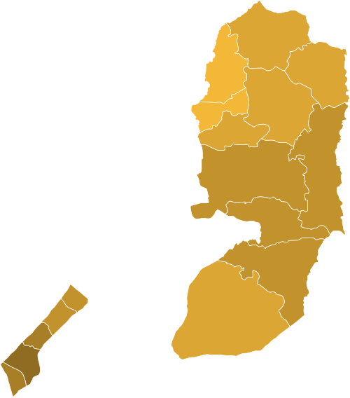 1996 Palestinian general election